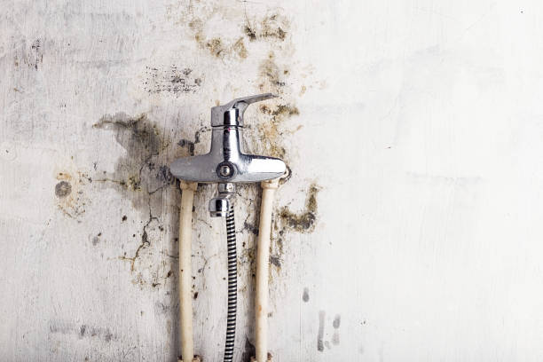 Best Mold Cleaning Services  in Gooding, ID