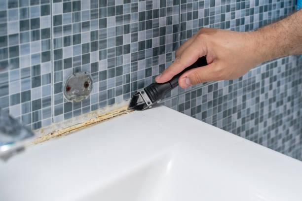 Best Professional Mold Removal  in Gooding, ID